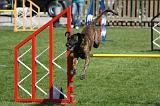 AGILITY - SAUT 016